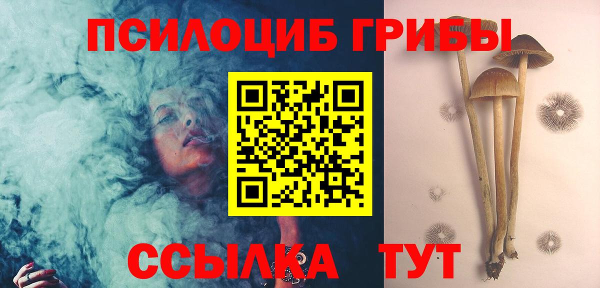 Псилоцибиновые грибы ЛСД  Галлюциногенные грибы мицелий  Благодарный  Вход с VPN 